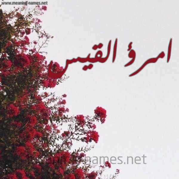 شكل 18 صوره الورد الأحمر للإسم بخط رقعة صورة اسم امرؤ القيس Amro-Alqis